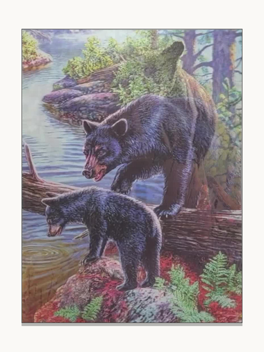 Black Bear Family in the Forest – 3D Lenticular Art