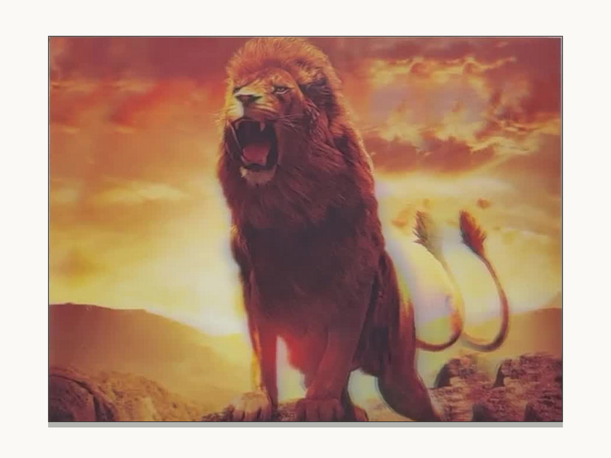 Roaring Lion at Sunset – 3D Lenticular Art