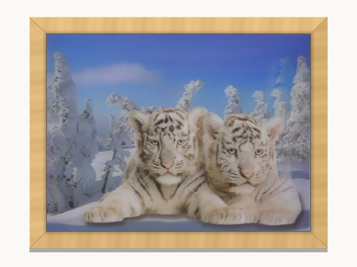 White Tiger Cubs in the Snow – 3D Lenticular Art