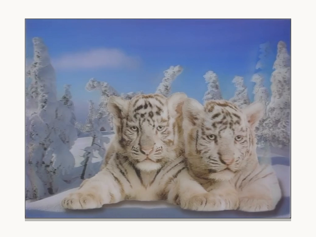 White Tiger Cubs in the Snow – 3D Lenticular Art