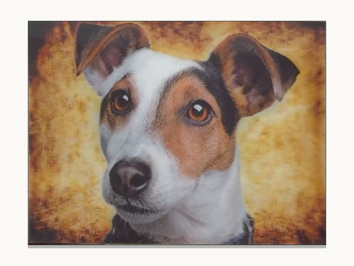 Brown-and-White Terrier Portrait – 3D Lenticular Art
