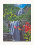 Two-Tier Forest Waterfall – 3D Lenticular Art