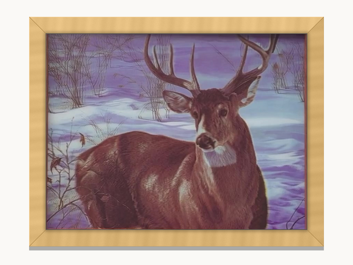 Majestic Buck Portrait – 3D Lenticular Art