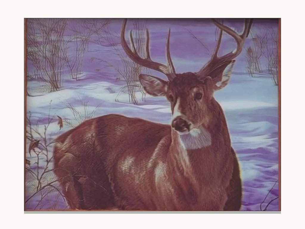 Majestic Buck Portrait – 3D Lenticular Art