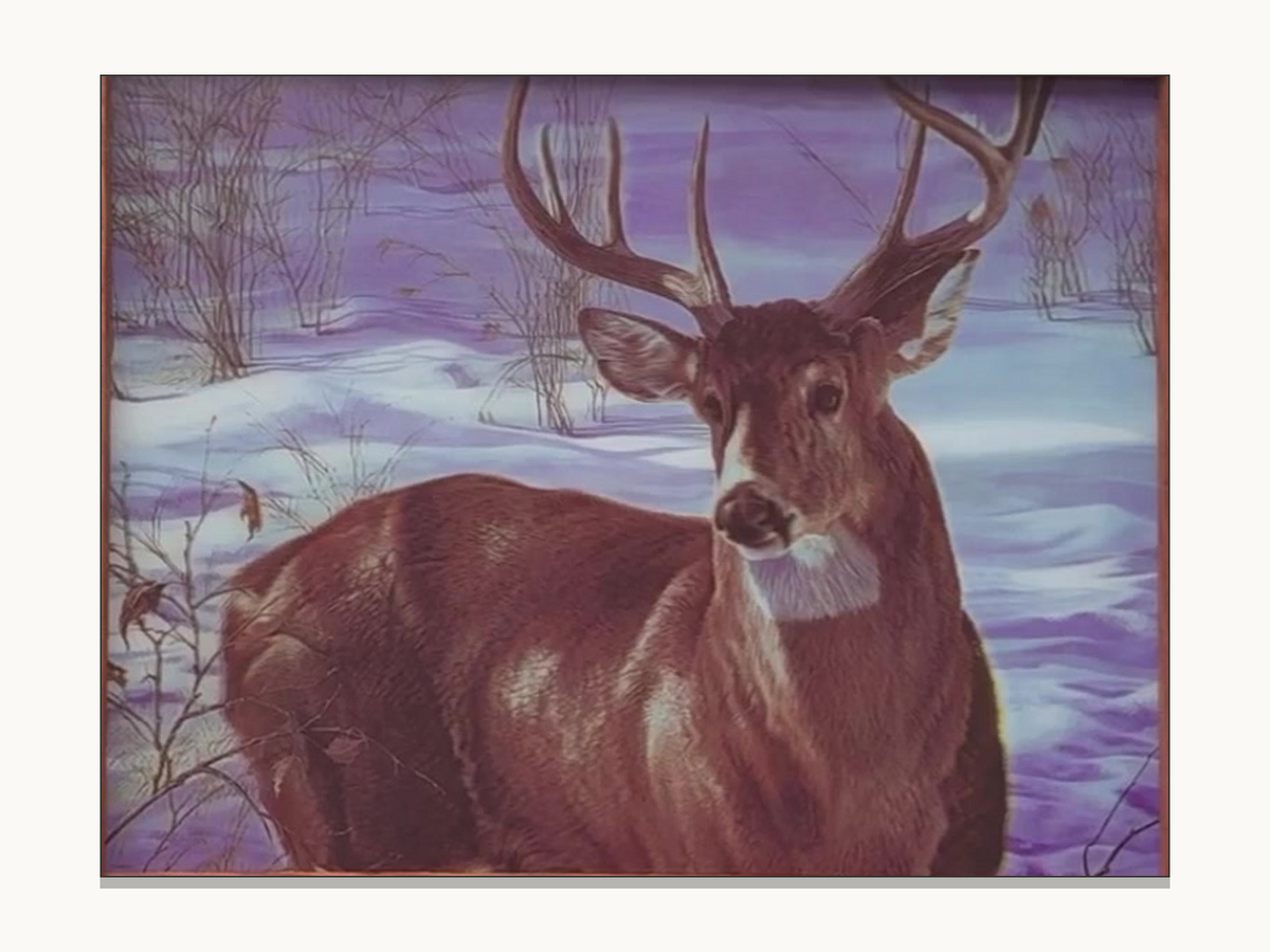 Majestic Buck Portrait – 3D Lenticular Art
