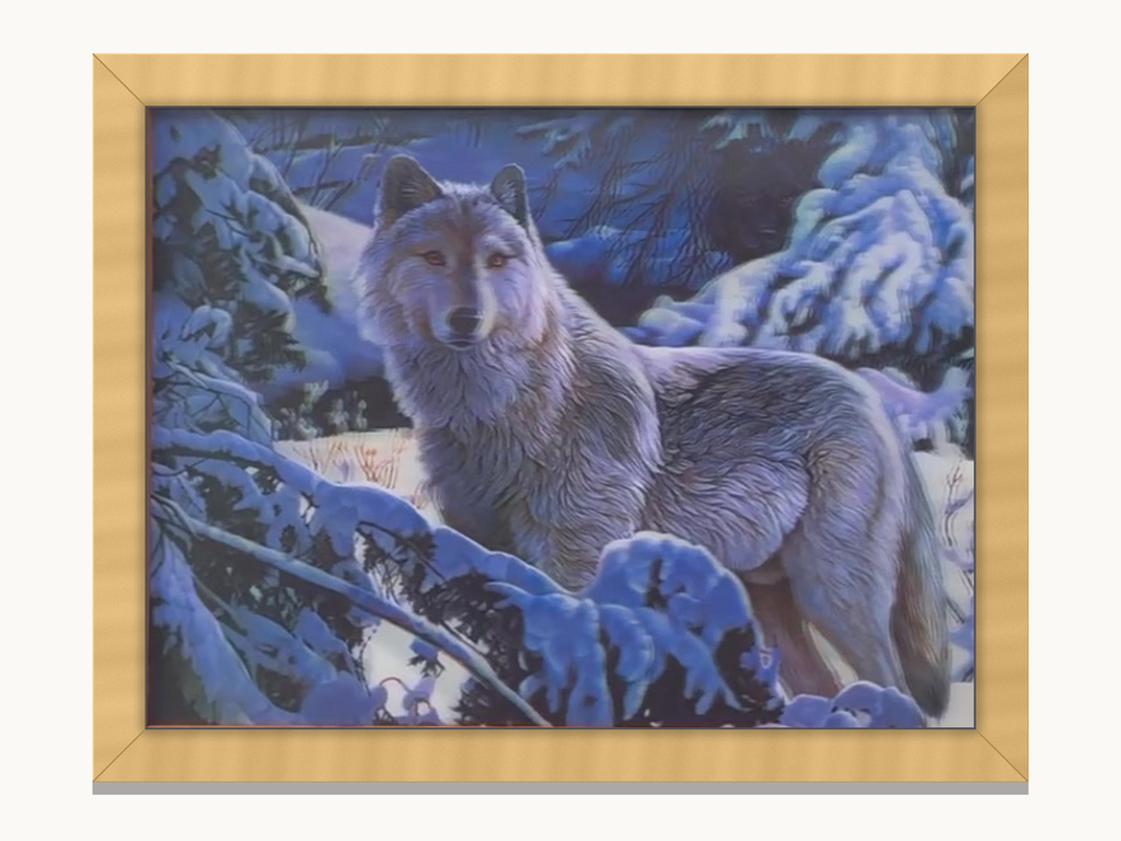 White and Black Wolf