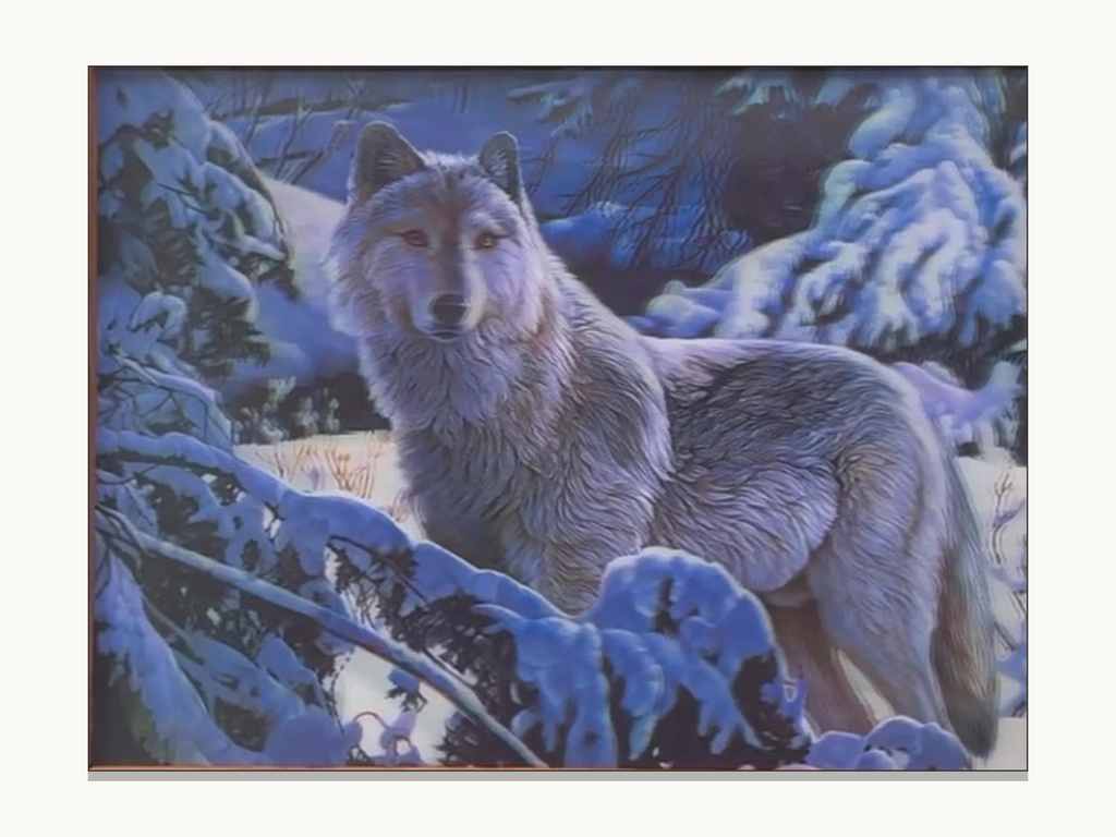 White and Black Wolf