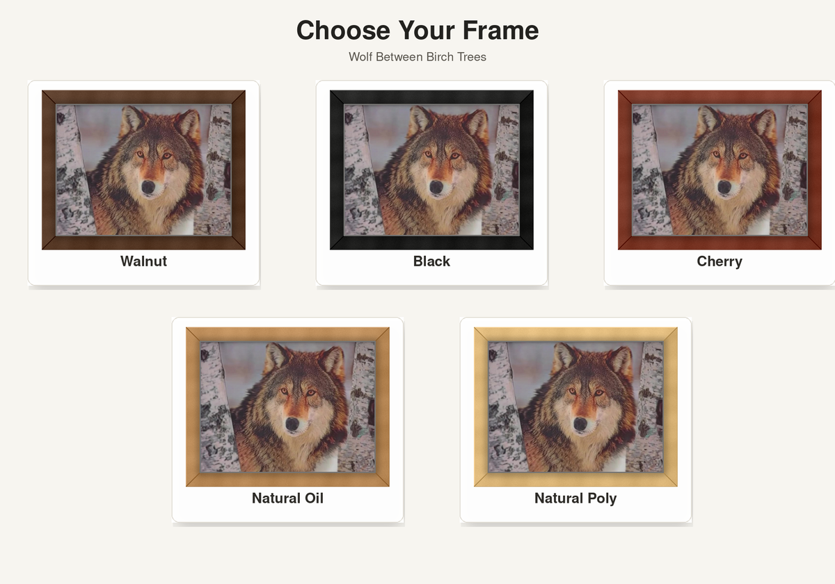 Birch Wolf