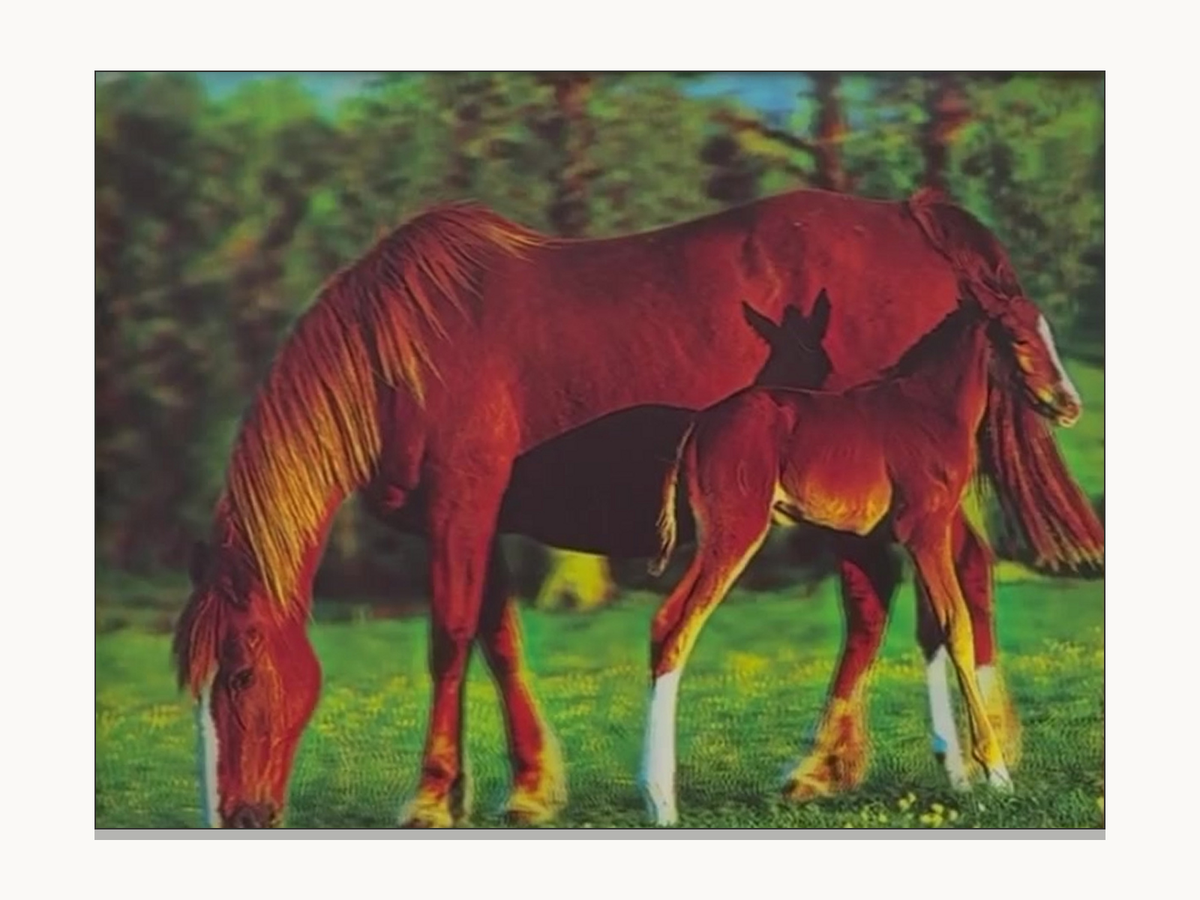 Red Horses in the Forest – 3D Lenticular Art