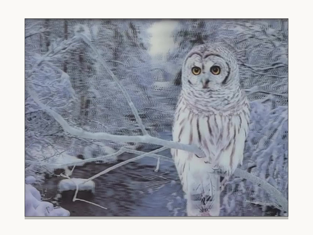 Snowy Owl in the Winter Woods – 3D Lenticular Art
