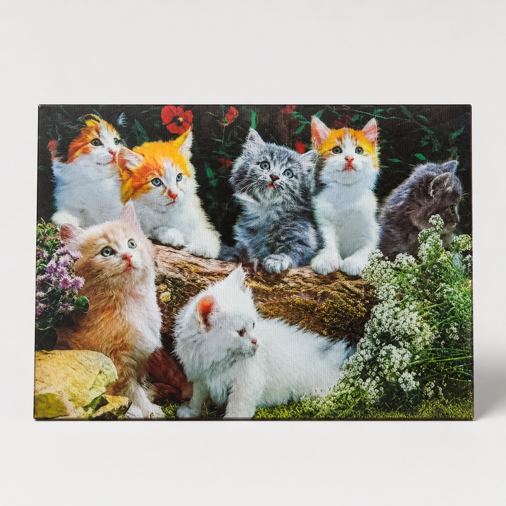 Garden Cats Gathering – 3D Lenticular Art