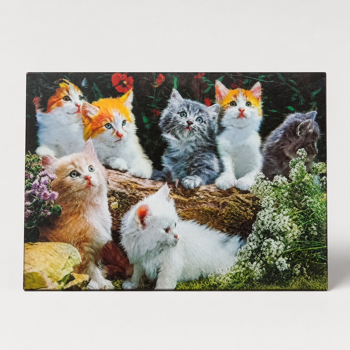 Garden Cats Gathering – 3D Lenticular Art