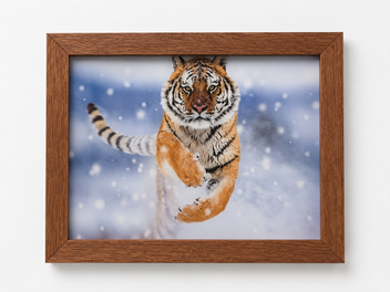 Tiger Emerging from the Snow 3D lenticular artwork preview