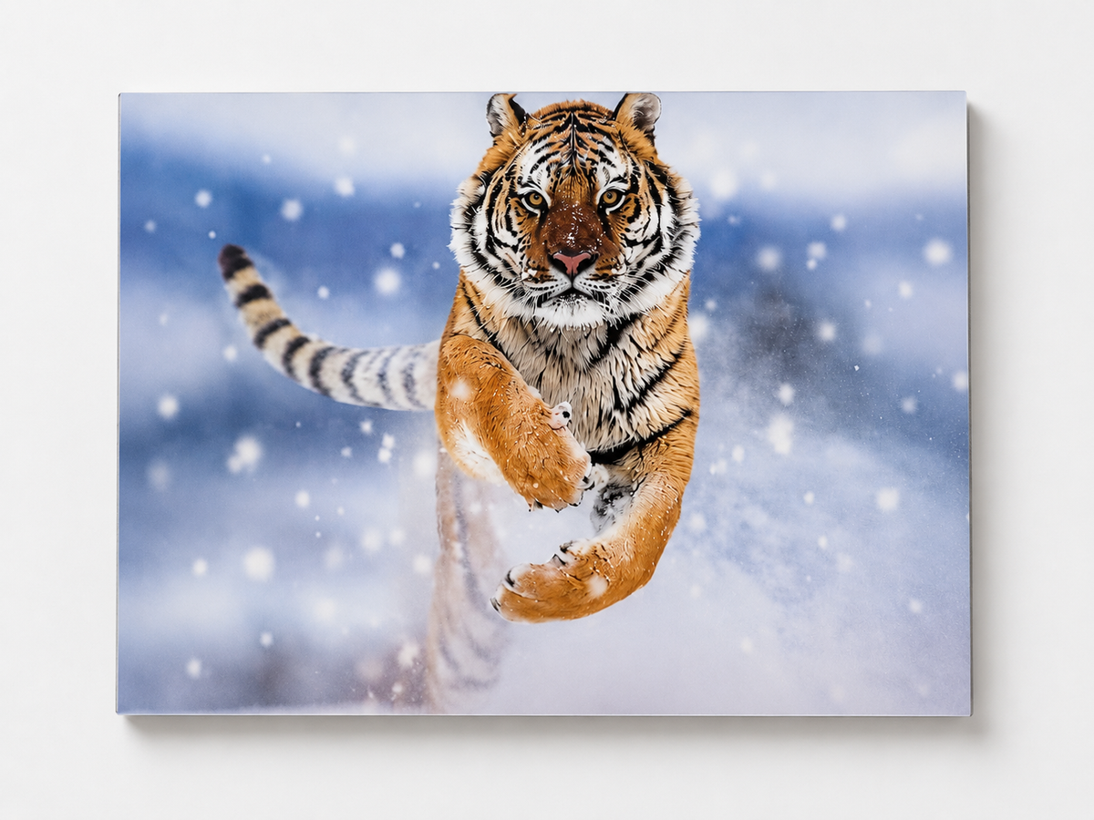 Tiger Emerging from the Snow – 3D Lenticular Art