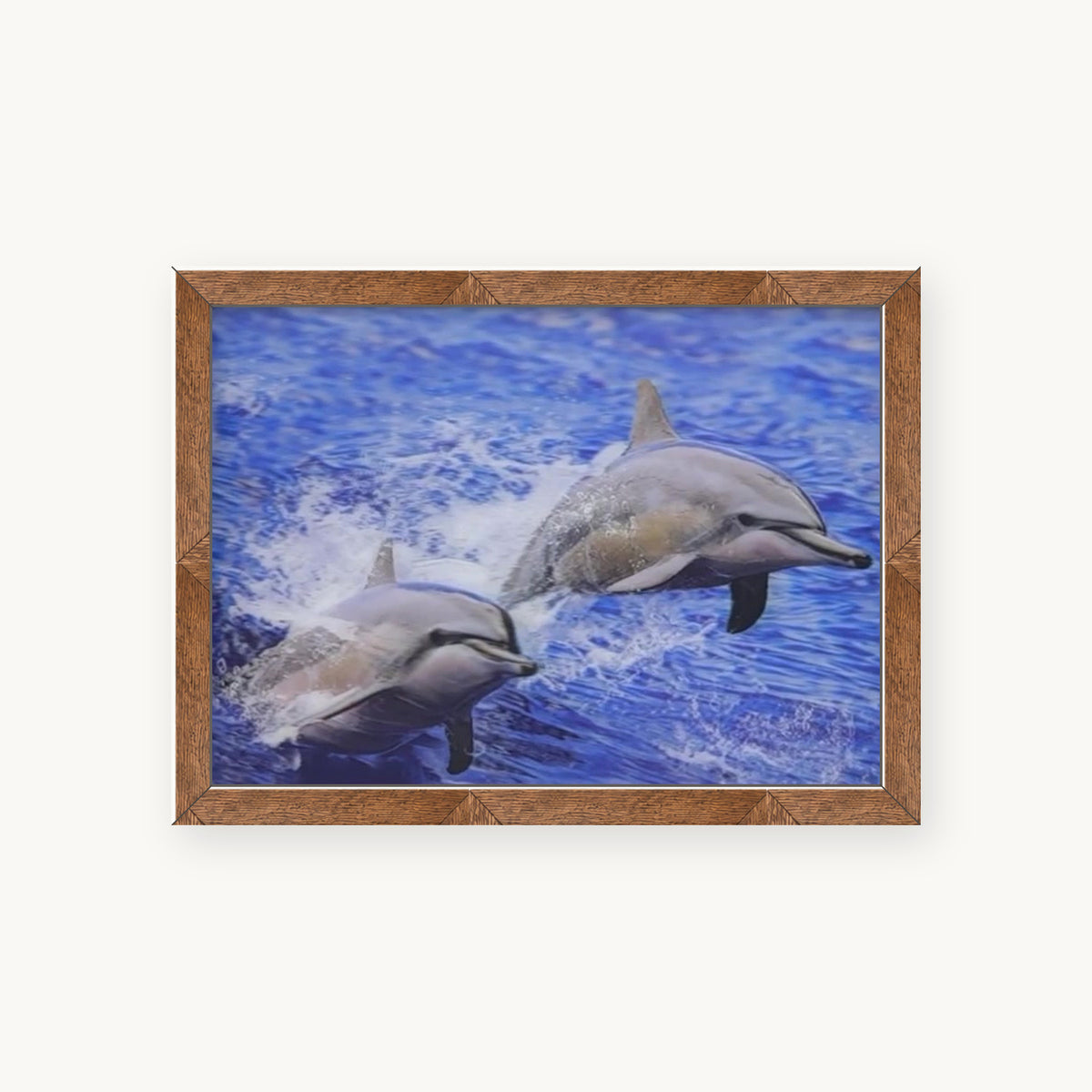 Dolphin in the Open Ocean – 3D Lenticular Art