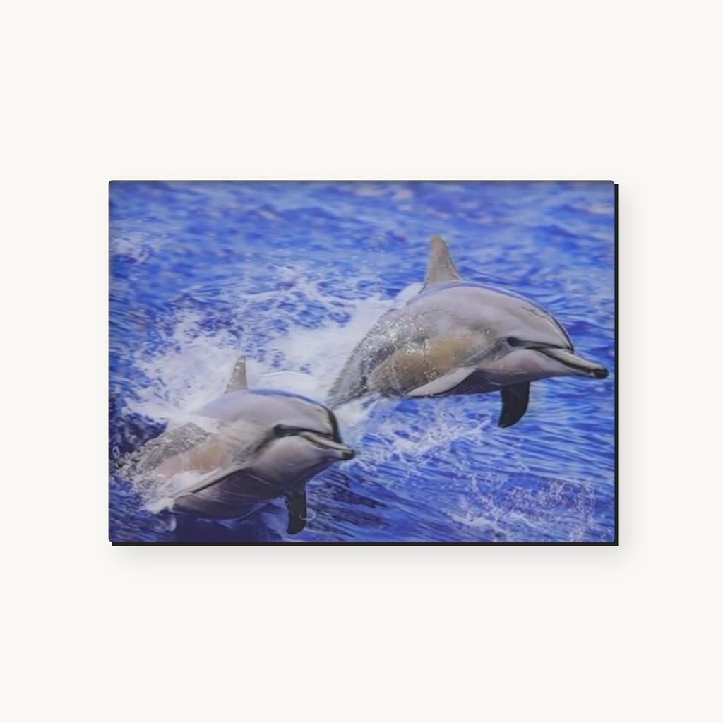 Dolphin in the Open Ocean – 3D Lenticular Art