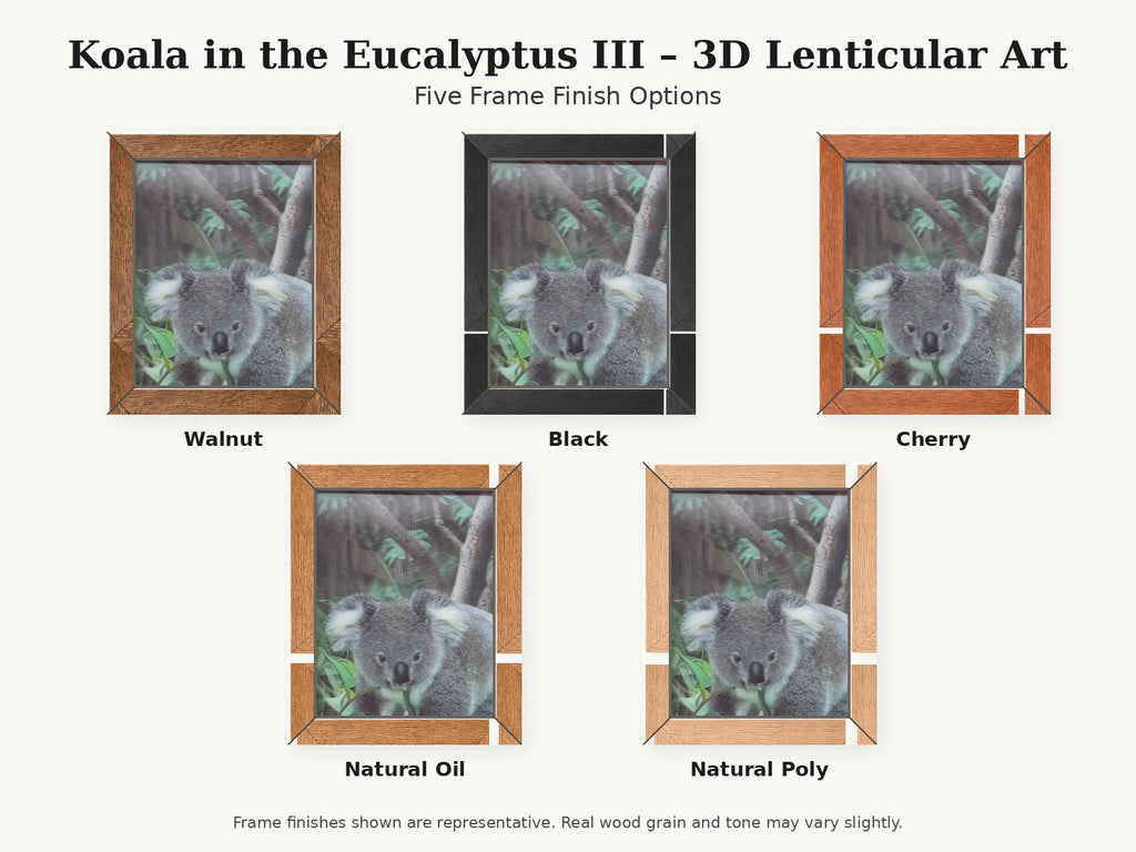 Koala in the Eucalyptus III – 3D Lenticular Art