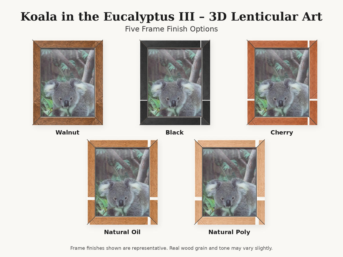 Koala in the Eucalyptus III – 3D Lenticular Art