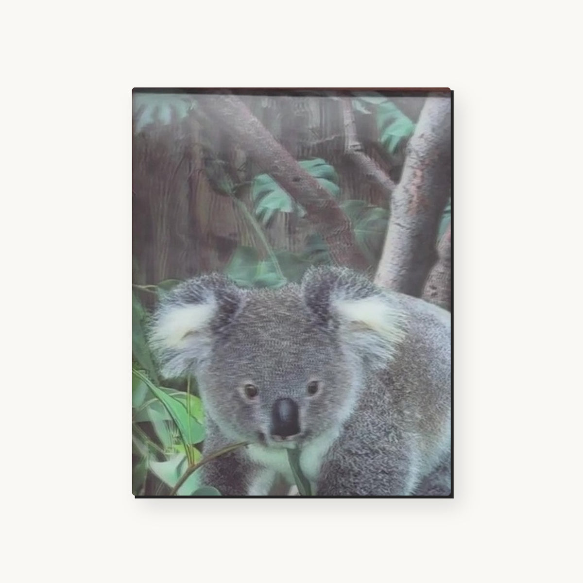Koala in the Eucalyptus III – 3D Lenticular Art