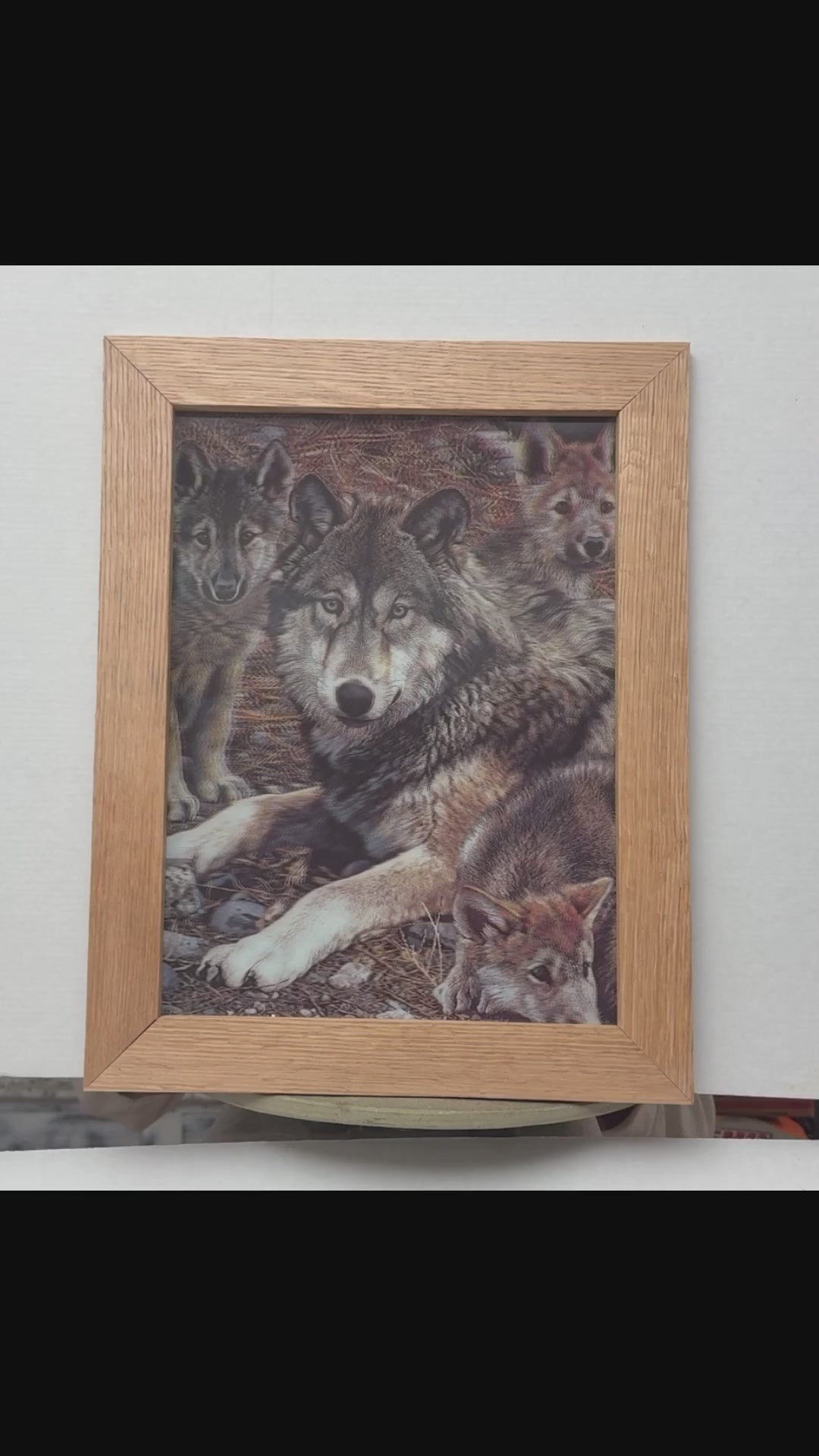 Wolf Portrait in the Forest – 3D Lenticular Art