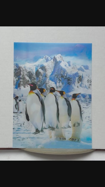 Emperor Penguins in Antarctica 3D lenticular artwork preview