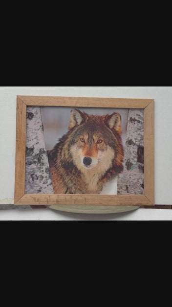 Husky Portrait 3D lenticular artwork preview