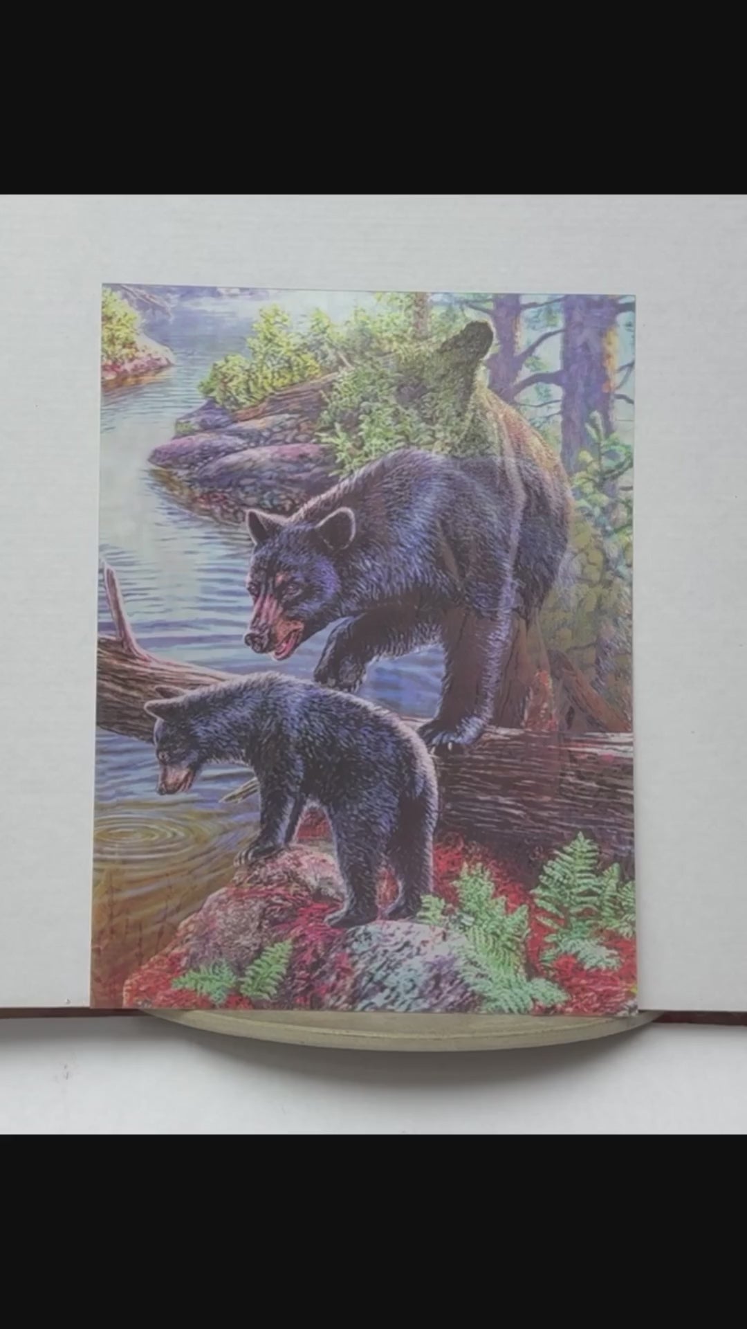 Black Bear Family in the Forest – 3D Lenticular Art