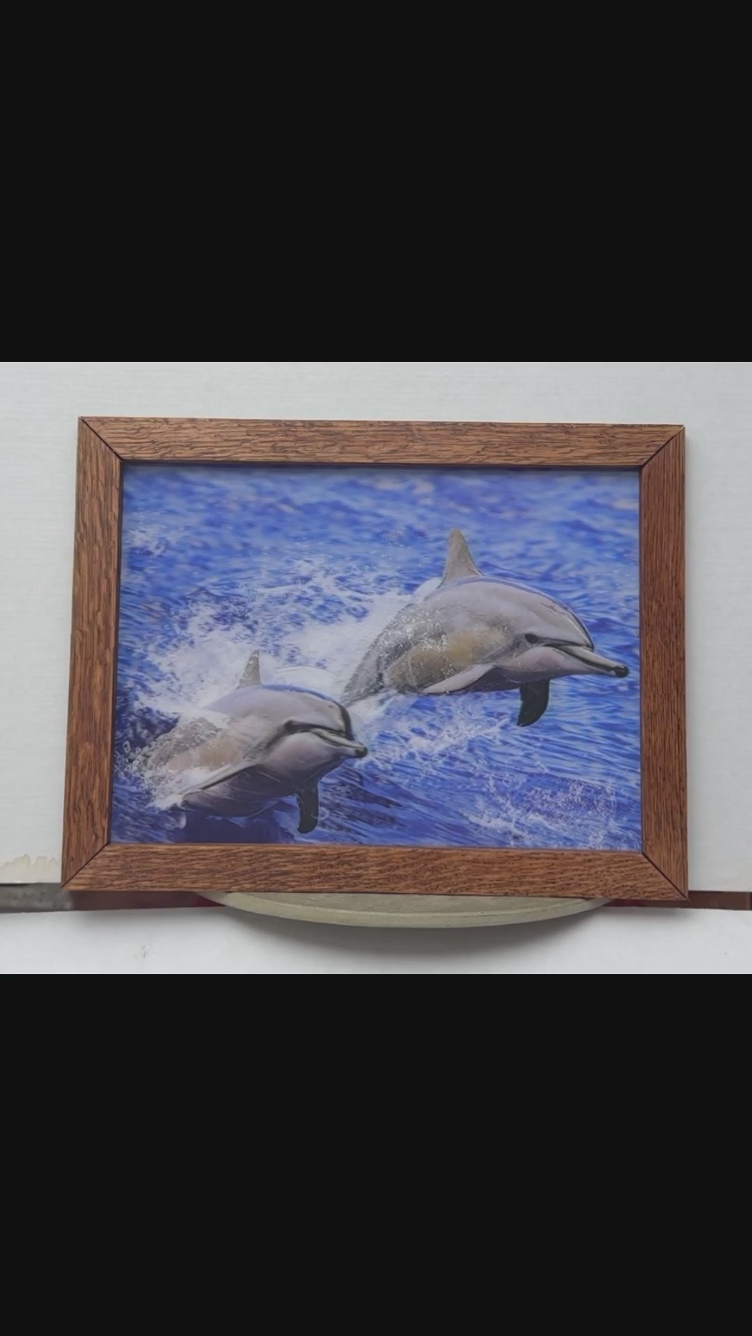 Dolphin in the Open Ocean – 3D Lenticular Art