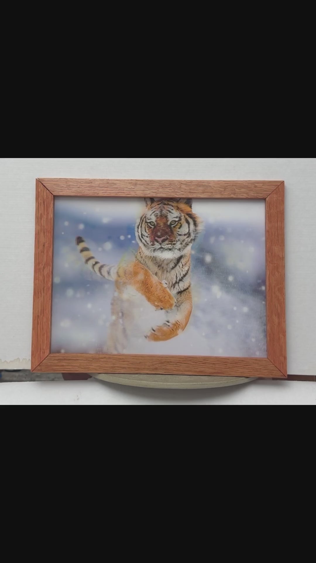 Tiger Emerging from the Snow – 3D Lenticular Art
