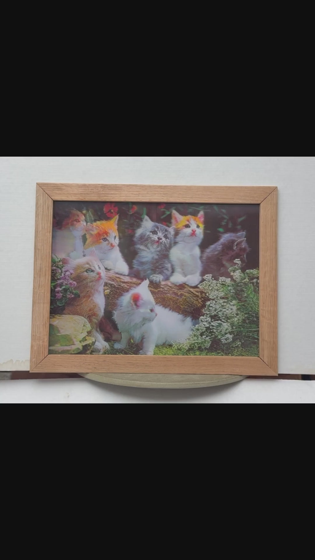 Colorful Kitten Collage – 3D Lenticular Art