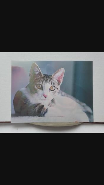 Changing Cat Portraits 3D lenticular artwork preview