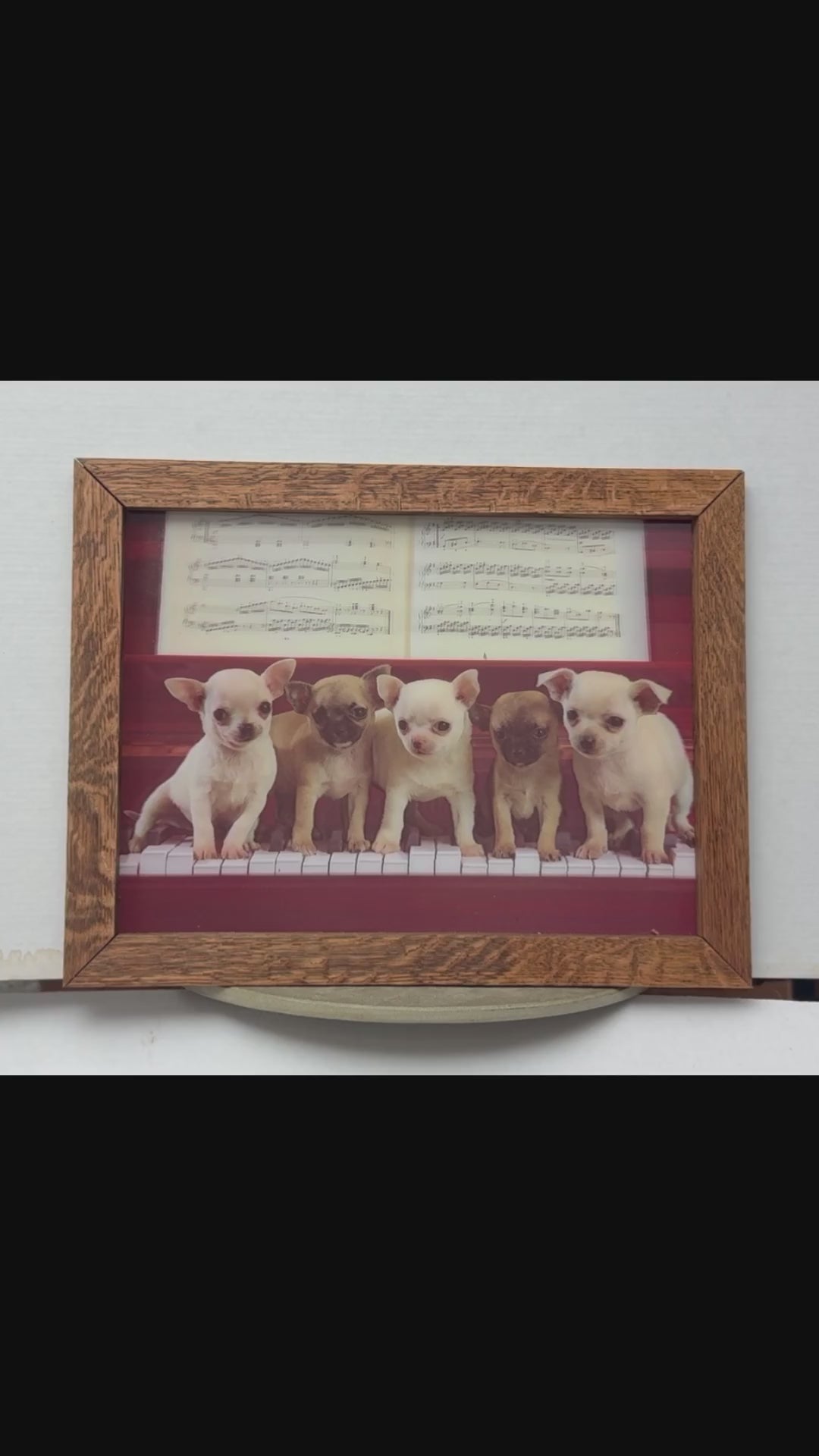 Vintage Puppy Portraits – 3D Lenticular Art