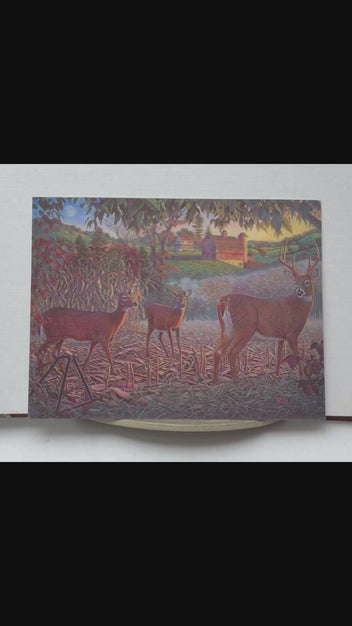 Whitetail Deer at the Farm 3D lenticular artwork preview