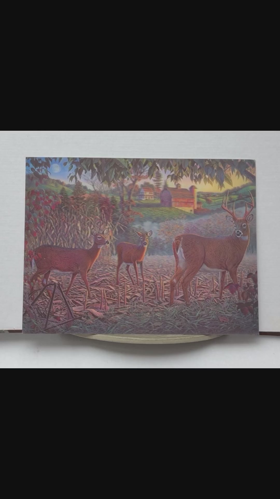 Whitetail Deer at the Farm – 3D Lenticular Art