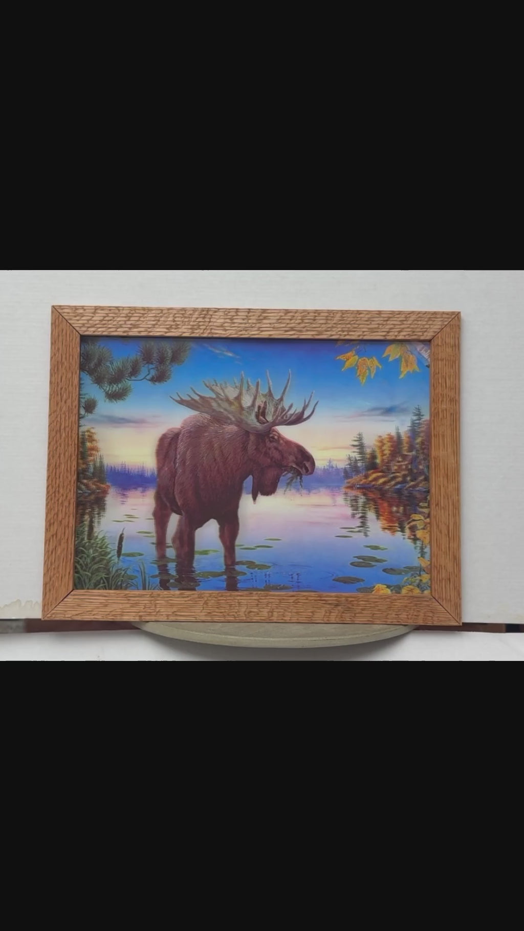 Moose by the Mountain Lake – 3D Lenticular Art