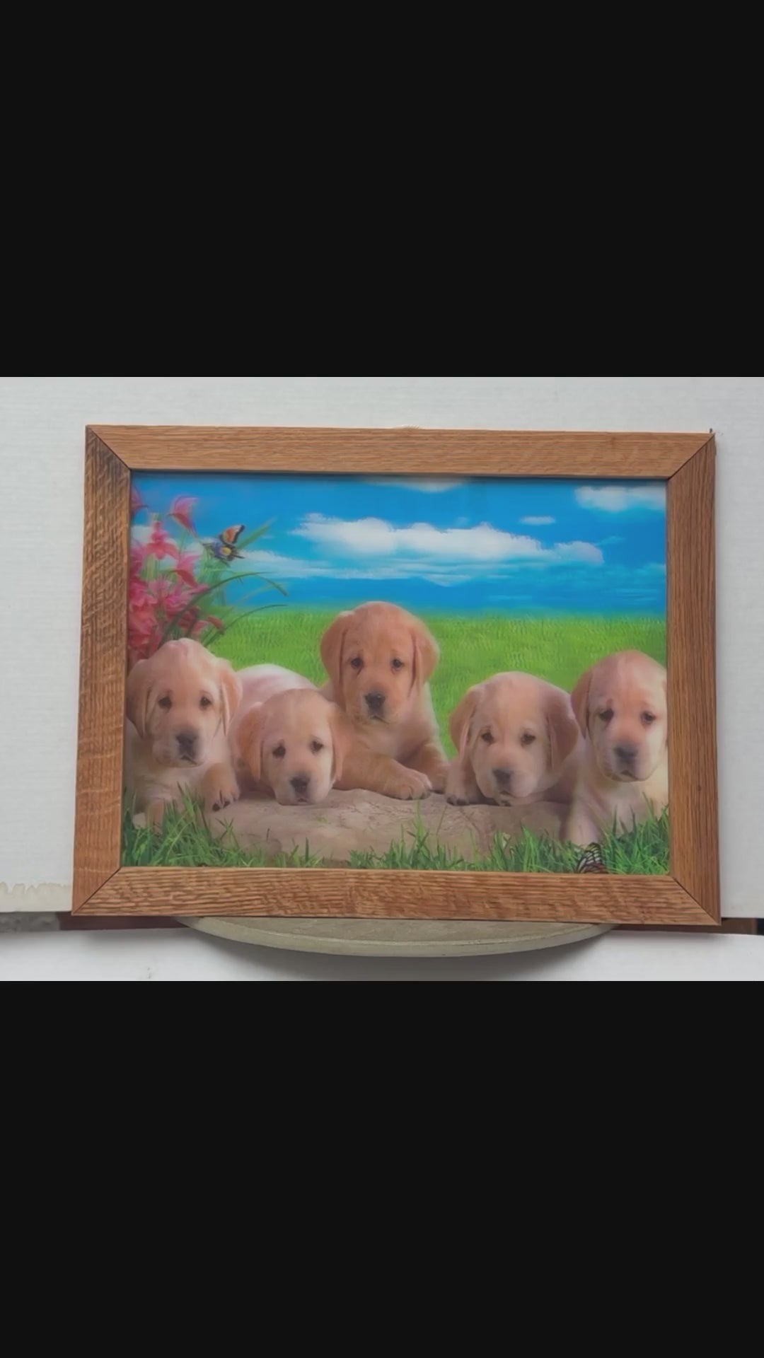 Golden Retriever Puppies – 3D Lenticular Art