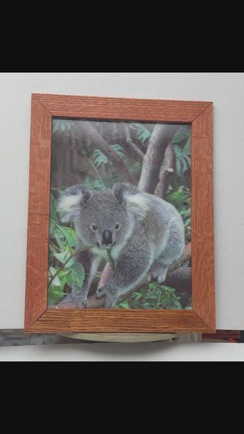 Koala in the Eucalyptus 3D lenticular artwork preview