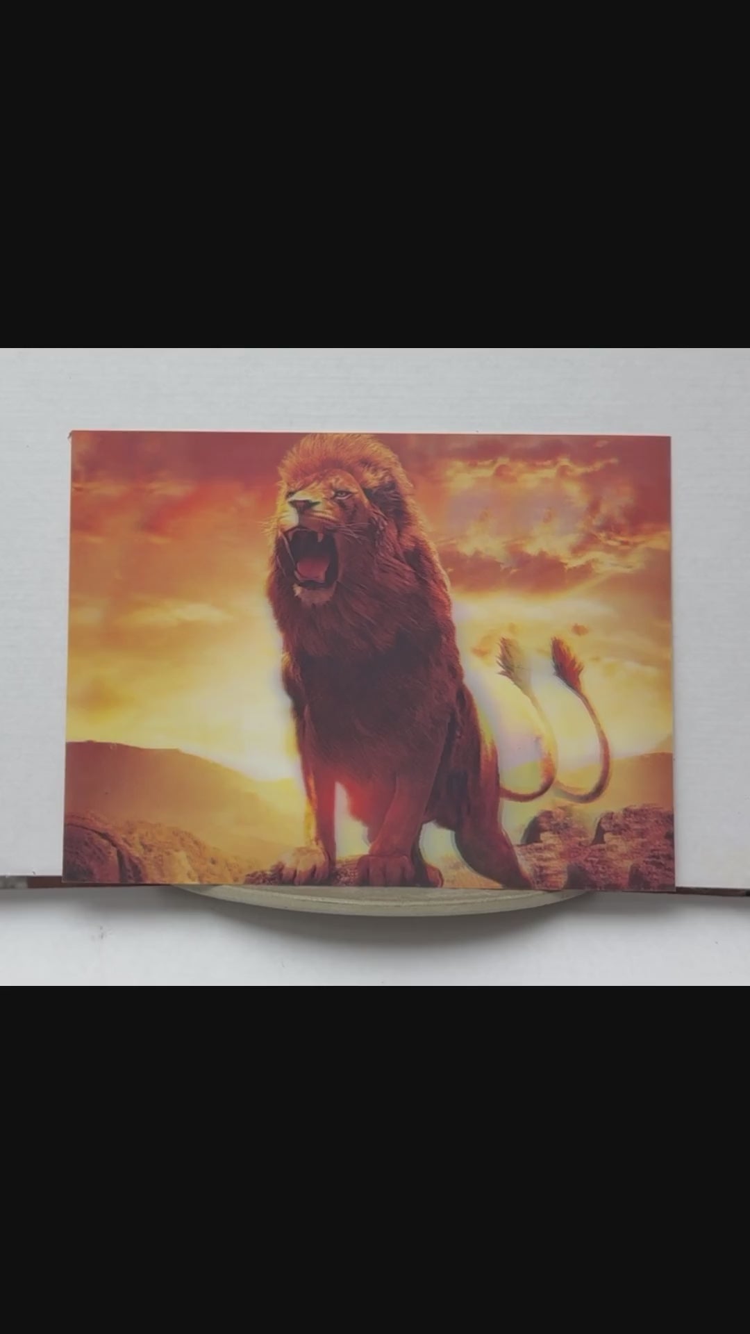 Roaring Lion at Sunset – 3D Lenticular Art