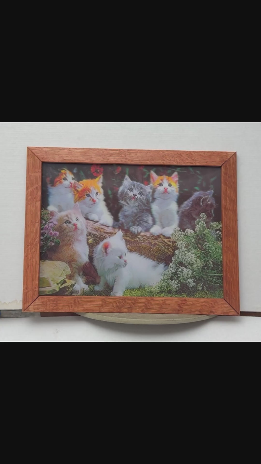 Garden Cats Gathering – 3D Lenticular Art