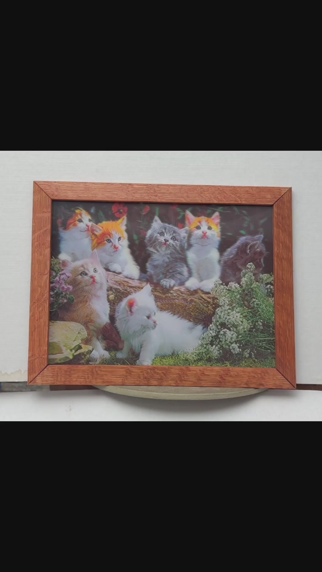 Garden Cats Gathering – 3D Lenticular Art