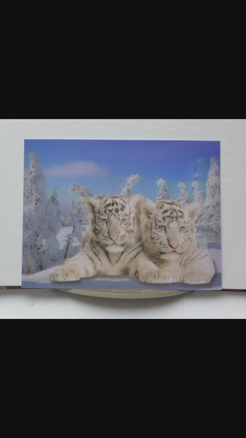 White Tiger Cubs in the Snow 3D lenticular artwork preview