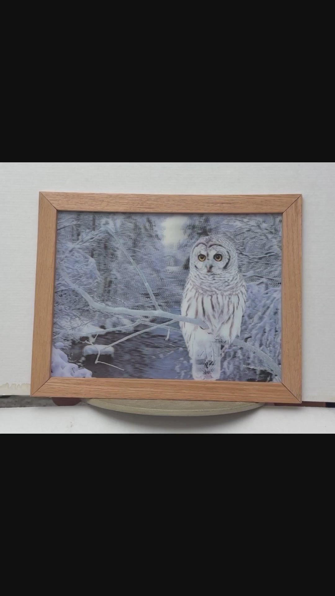 Snowy Owl in the Winter Woods – 3D Lenticular Art