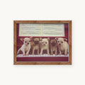 Vintage Puppy Portraits – 3D Lenticular Art