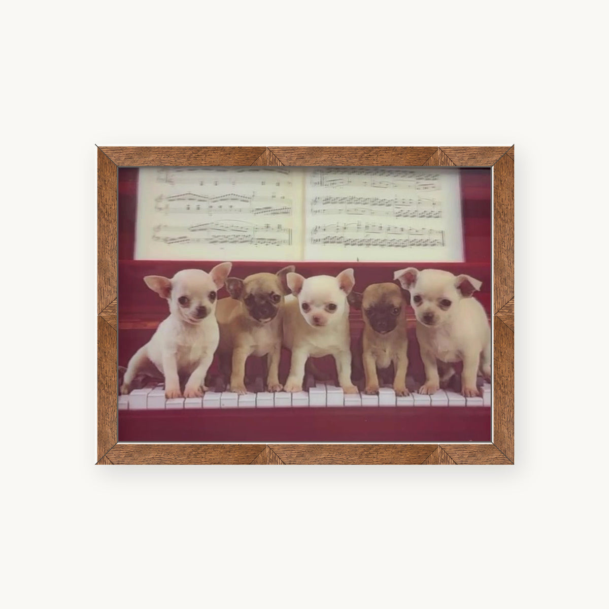 Vintage Puppy Portraits – 3D Lenticular Art