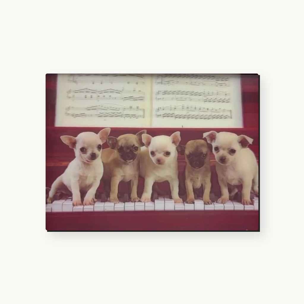 Vintage Puppy Portraits – 3D Lenticular Art
