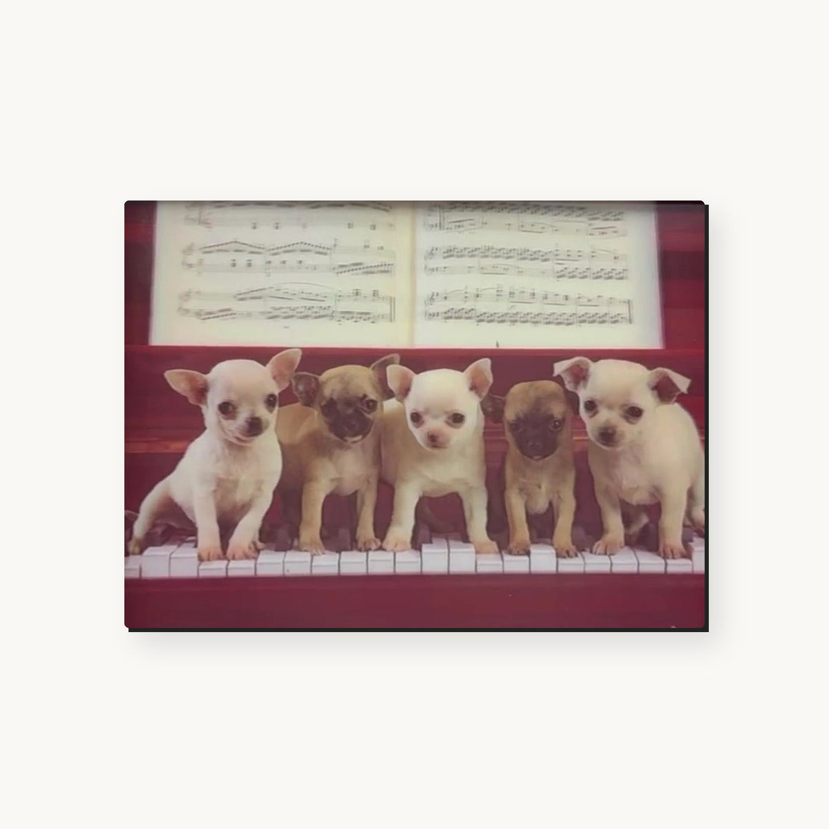 Vintage Puppy Portraits – 3D Lenticular Art